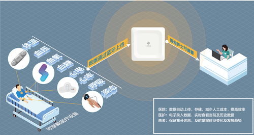 生命體征持續監測,桂花網與質子科技攜手守護患者健康